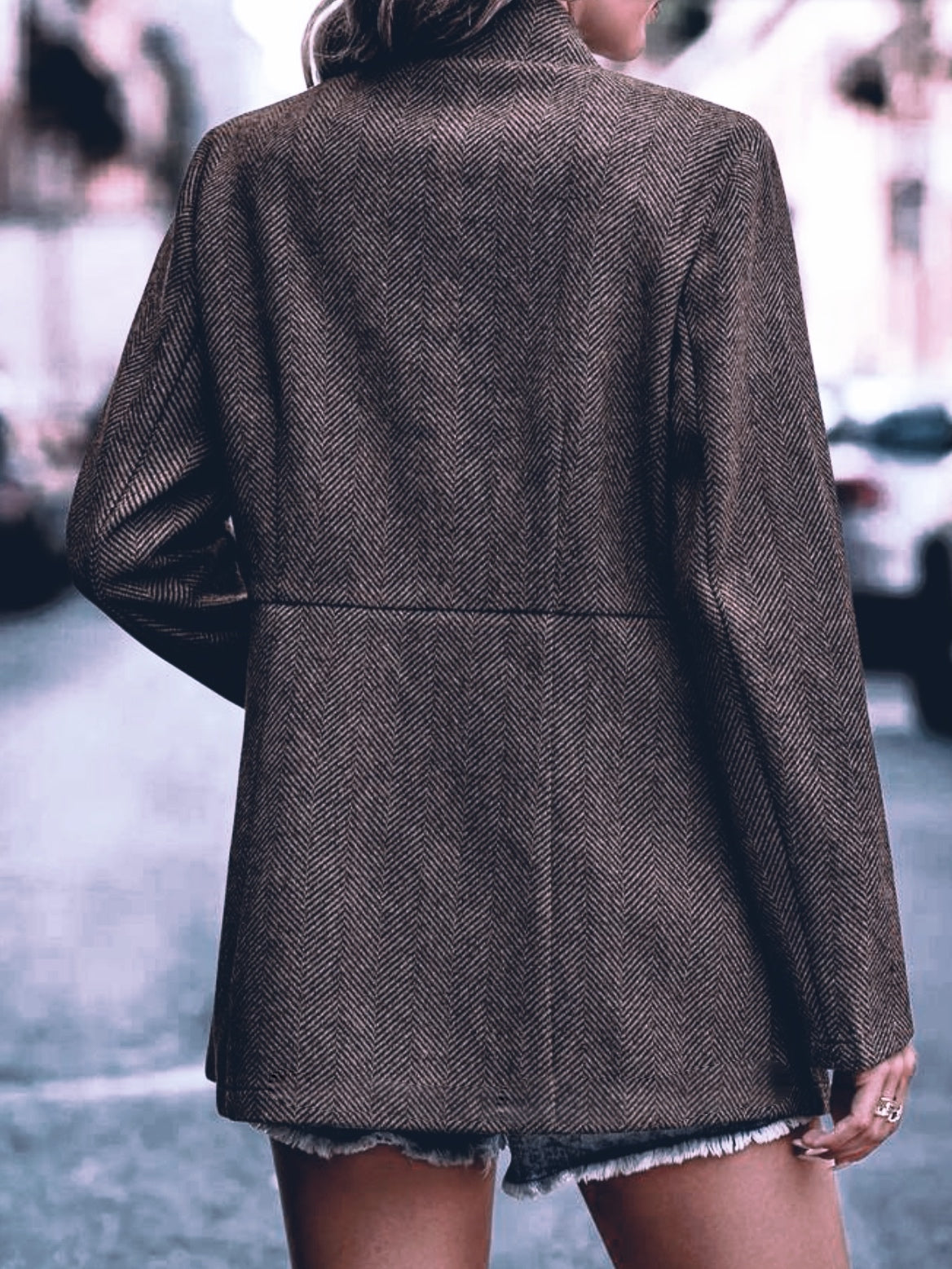 Chevron Blazer